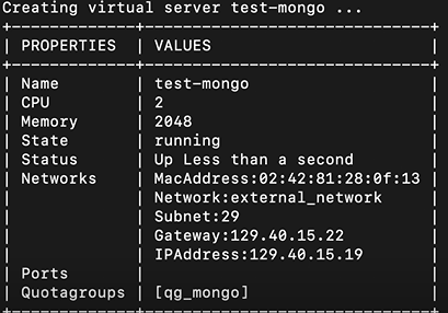 Mongo Server